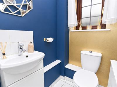 Picture 11